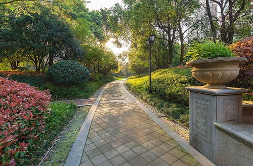 走出園林綠化建設(shè)的迷思 城市綠化工程中的常見(jiàn)誤區(qū)與改善路徑